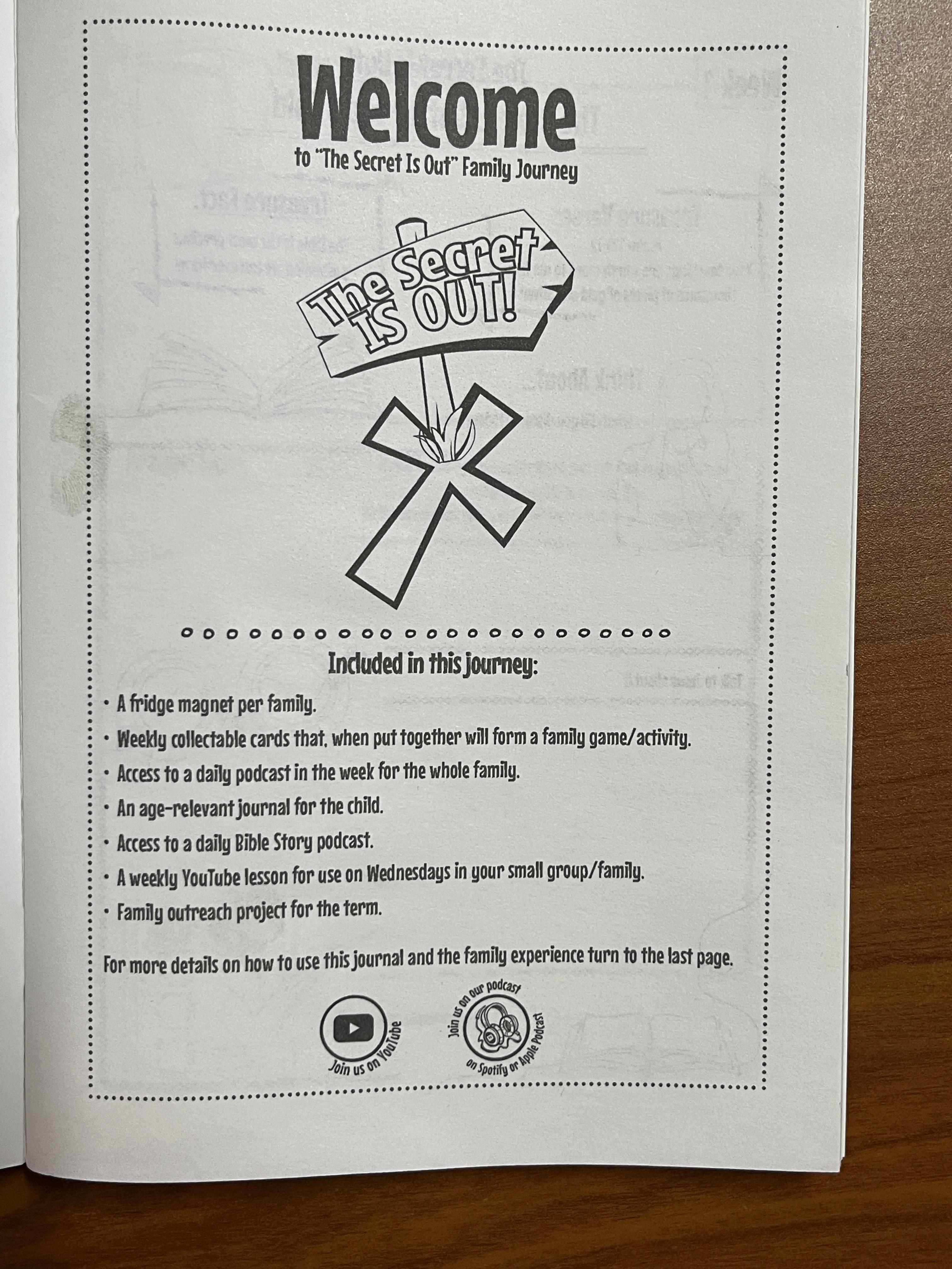 The Secret is out Curriculum! Lesson Range for 4-13 Years – Image 13