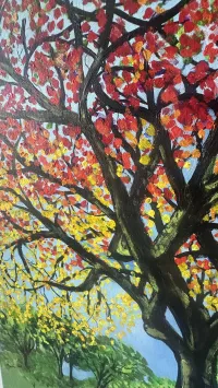 A Break in Reality – Image 3