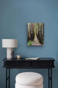 Walking the Right Path – Image 2