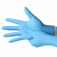 [CS-GLOVE-NIT-L-C100] Nitrile Gloves — Large, 100 Count – Image 1