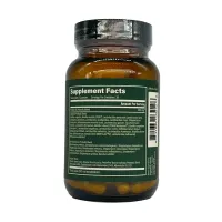 Global Healing ULTIMATE PROBIOTIC (60 CAPSULES) – Image 3