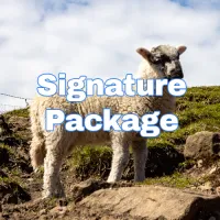 Signature Package - Launch Venues – Image 1