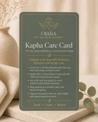 Kapha Ritual Kit  – Image 2