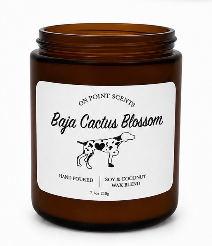 Baja Cactus Blossom – Image 2