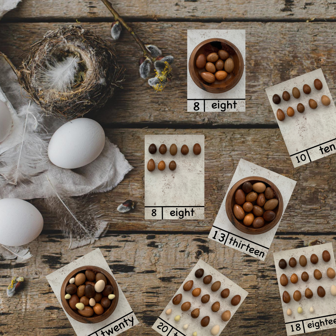 Egg and Nest number cards to 20 download – Image 1