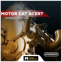 Motores ACERT, Funcionamiento y diagnóstico – Image 1