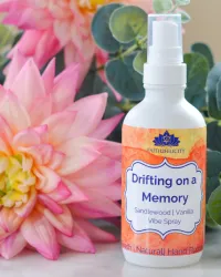 Fresh Start Vibe Spray | Sandalwood Vanilla – Image 1