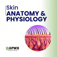  Skin Anatomy & Physiology – Image 1