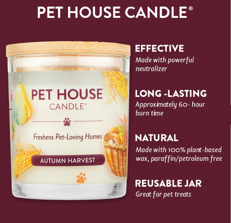 Autumn Harvest Mini Candle – Image 4