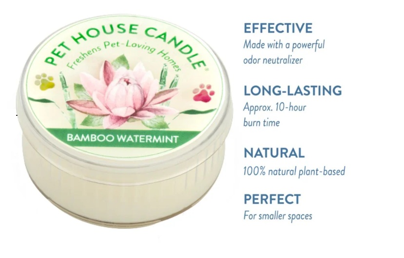 Bamboo Watermint Mini Candle – Image 2