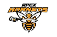 Apex-Hornets (The Whole BUTTY) – Magnetic Only - 7/8 inch, Black, Carolina Blue