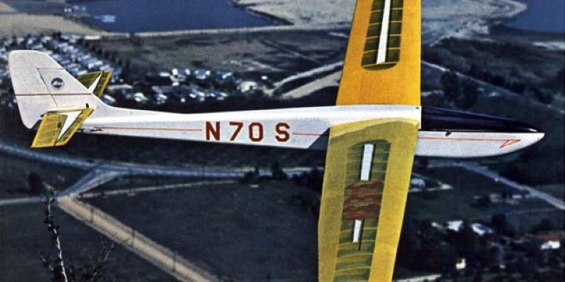 Windfree Sailplane  99" Wingspan – Image 2