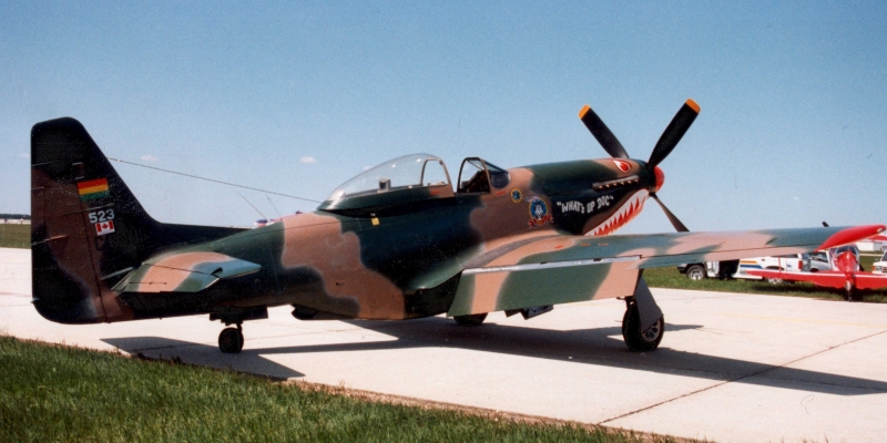 Mustang P-51D 96" wingspan – Image 16