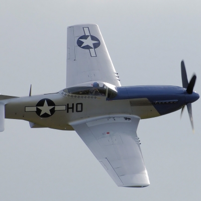 Mustang P-51D 96" wingspan – Image 1