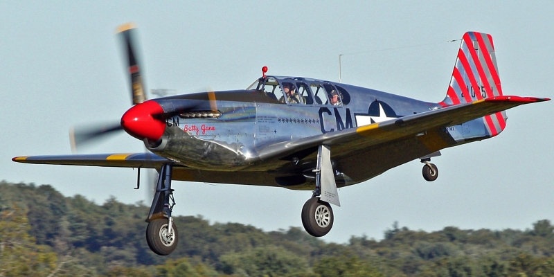 Mustang P-51D 96" wingspan – Image 15