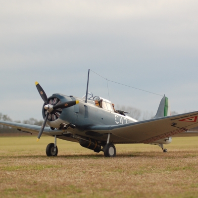 Dauntless SBD - Ziroli (101" Wingspan) – Image 1