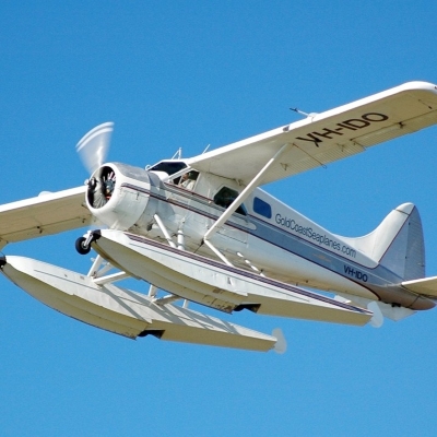 Beaver DHC-2 - Hostetler (126" Wingspan) – Image 2