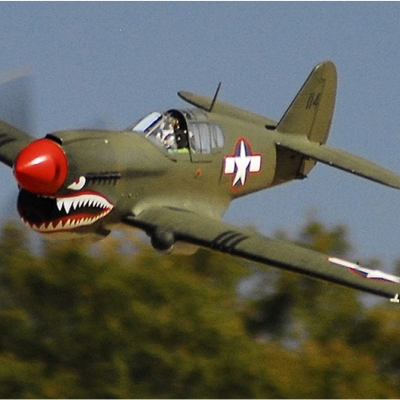 Warhawk P-40 - Ziroli (94" Wingspan) – Image 1