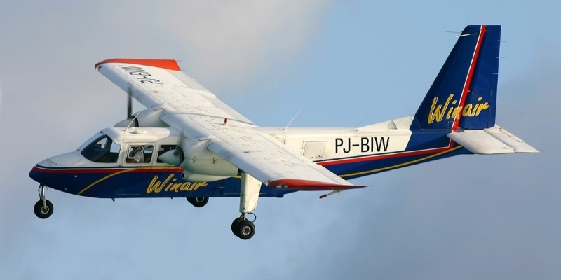 BN-2 Islander 84" Wingspan – Image 4