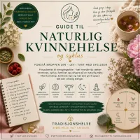 Naturlig kvinnesyklus – lær å jobbe med kroppen, ikke mot den – Image 1