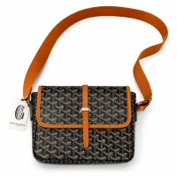 Goyard Bag – Image 1