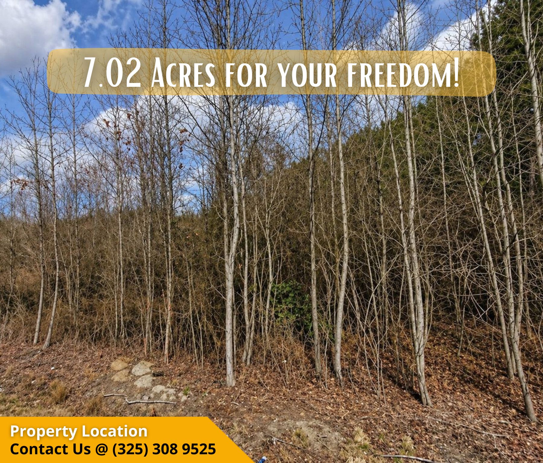 🏡 7.02 Acres on Harnett Dunn Hwy – Peaceful Living with Endless Potential Call Us Now! – Image 5