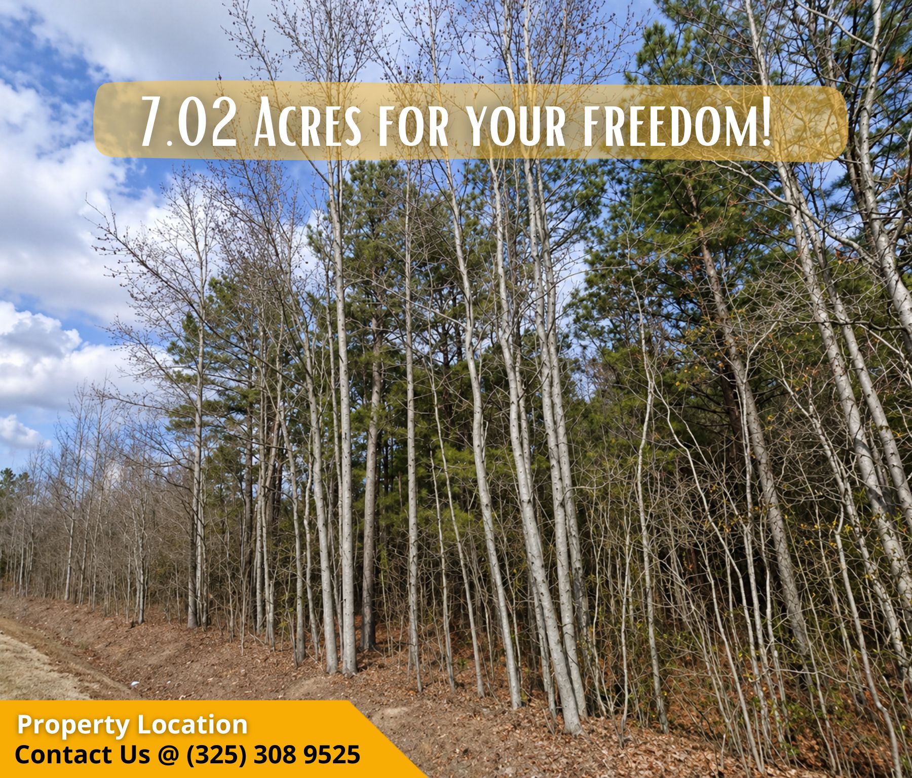 🏡 7.02 Acres on Harnett Dunn Hwy – Peaceful Living with Endless Potential Call Us Now! – Image 7
