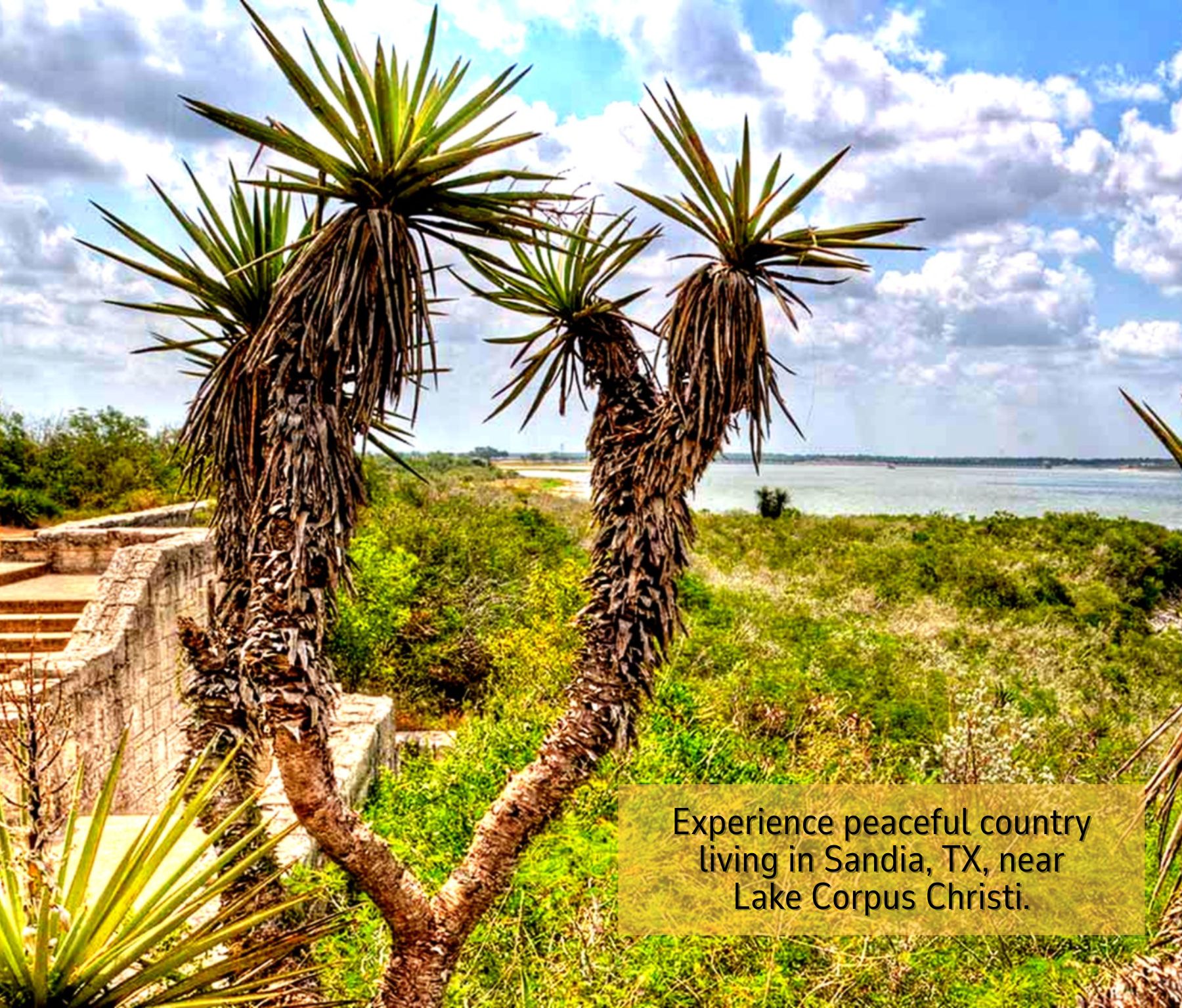 2 Side-by-Side Lots $10,900 Each – Near Lake Corpus Christi!  Contact us Now!  – Image 10