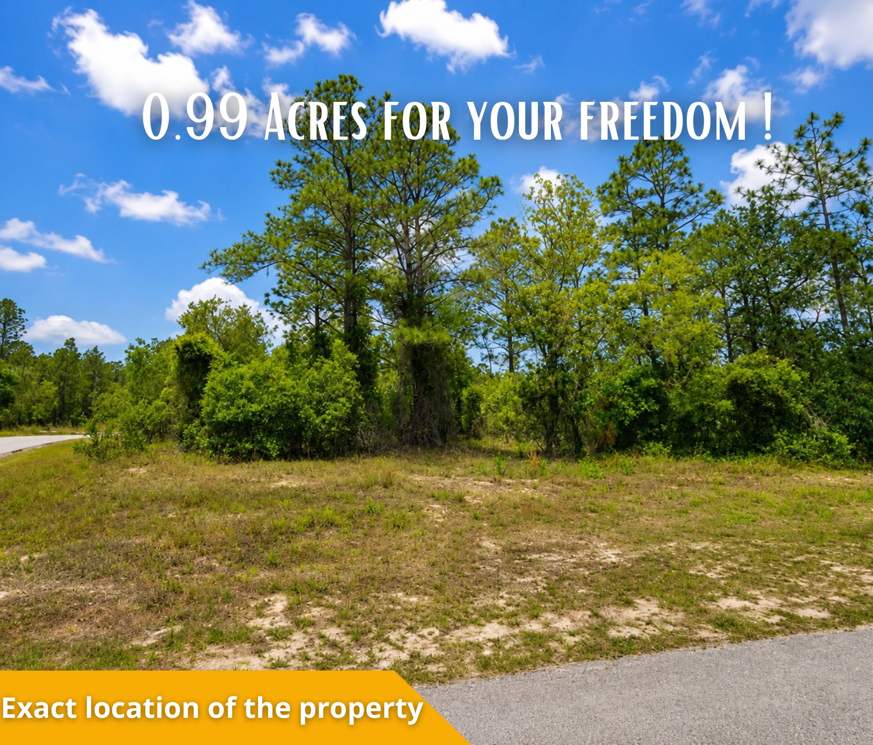 🌴 Own the Corner! Nearly 1 Acre Florida Paradise – Only $22,500! Call Us Now!  – Image 6