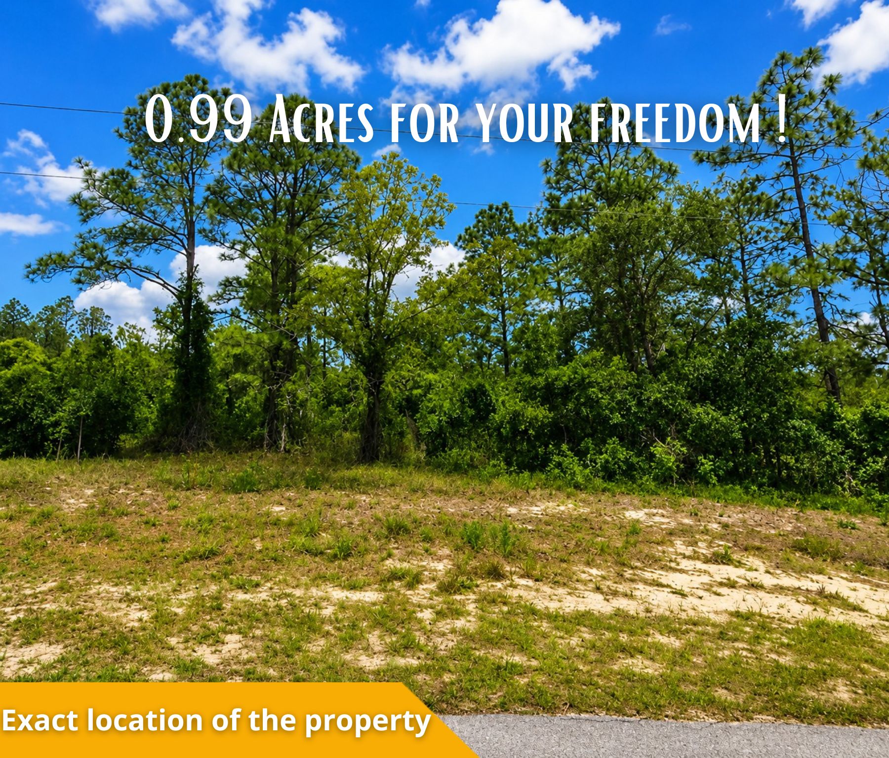 🌴 Own the Corner! Nearly 1 Acre Florida Paradise – Only $22,500! Call Us Now!  – Image 5