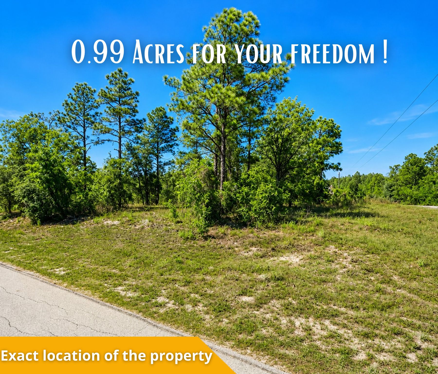 🌴 Own the Corner! Nearly 1 Acre Florida Paradise – Only $22,500! Call Us Now!  – Image 7