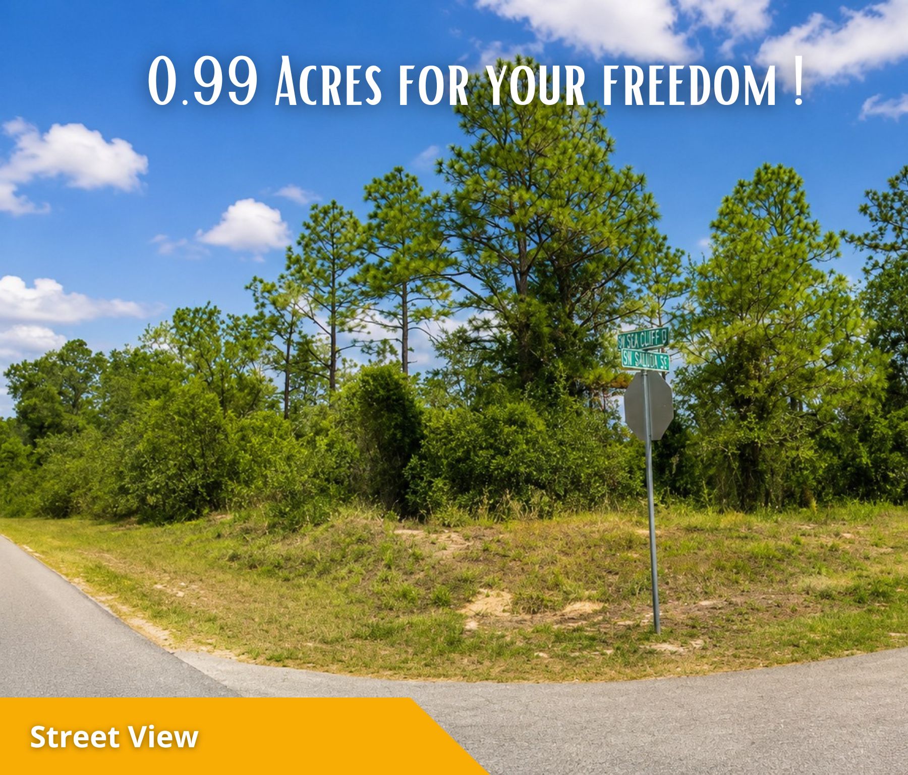 🌴 Own the Corner! Nearly 1 Acre Florida Paradise – Only $22,500! Call Us Now!  – Image 8
