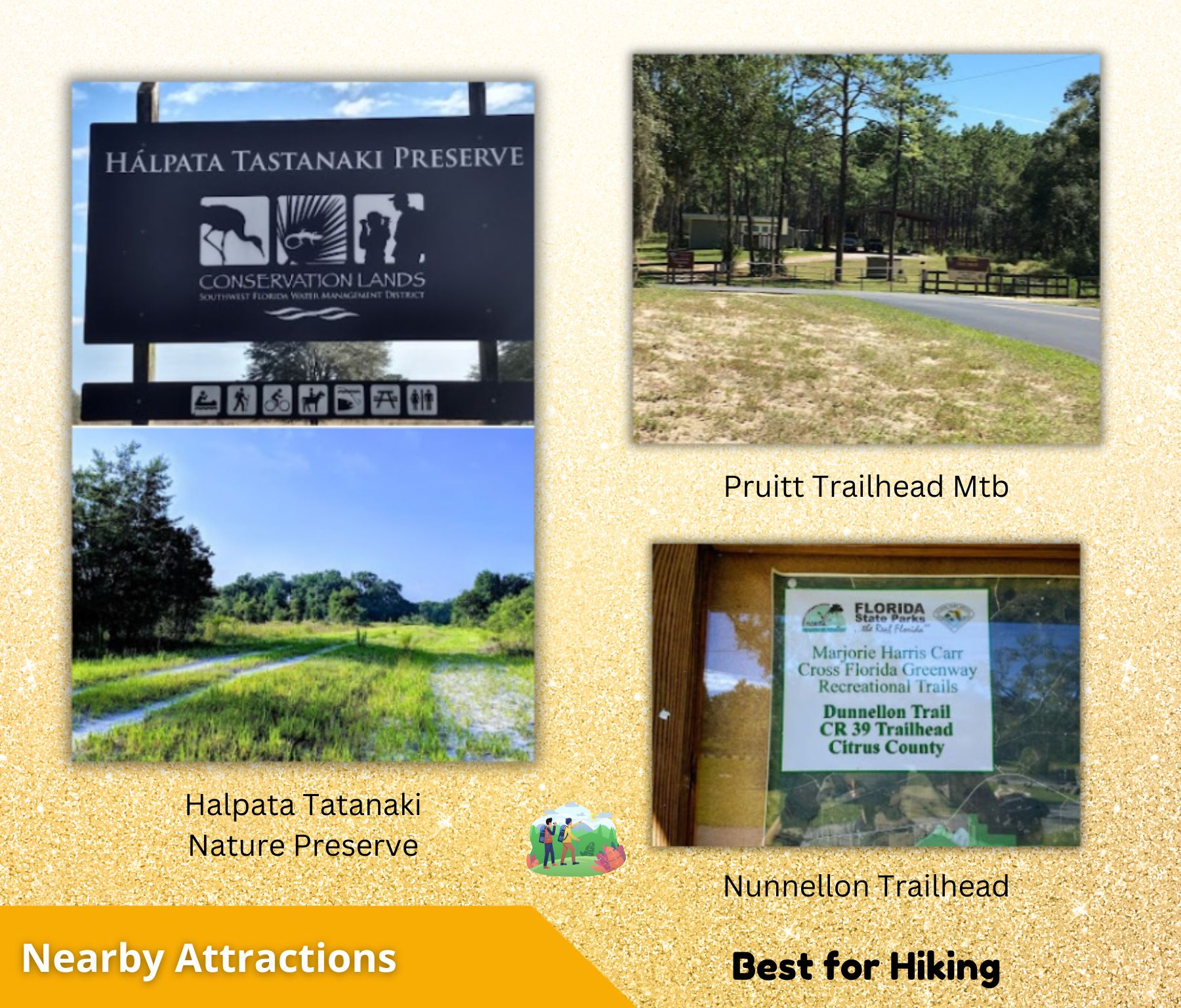 🌴 Own the Corner! Nearly 1 Acre Florida Paradise – Only $22,500! Call Us Now!  – Image 14