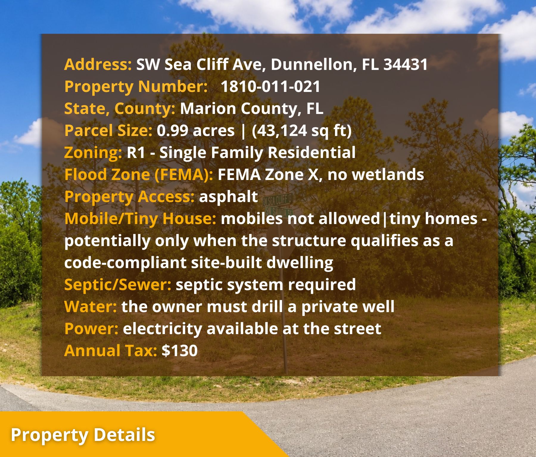 🌴 Own the Corner! Nearly 1 Acre Florida Paradise – Only $22,500! Call Us Now!  – Image 16