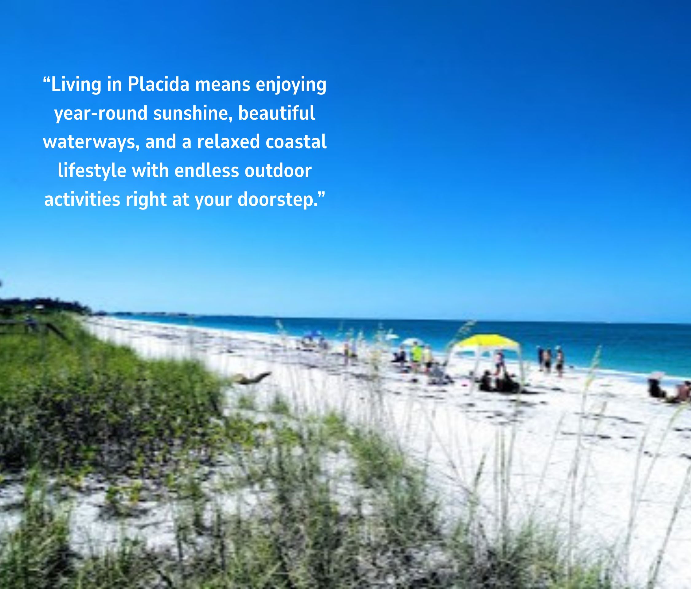 🌴 Claim Your Florida Paradise – Only $15,000! Call Us Now!  – Image 8
