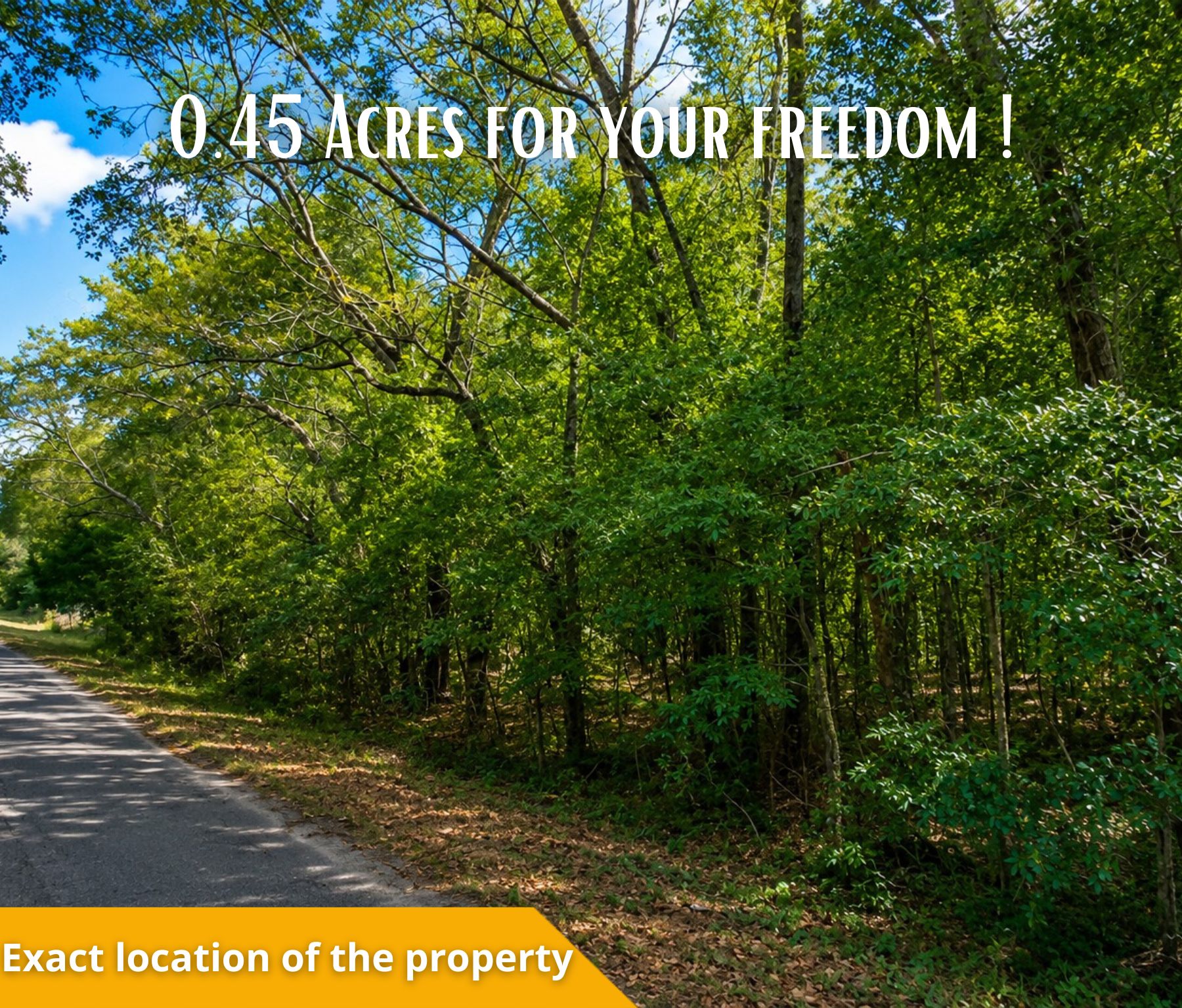Your Florida Dream Starts Here—Own 0.45 Acres in Ocklawaha for Only $27,000! Call Us Now! – Image 5
