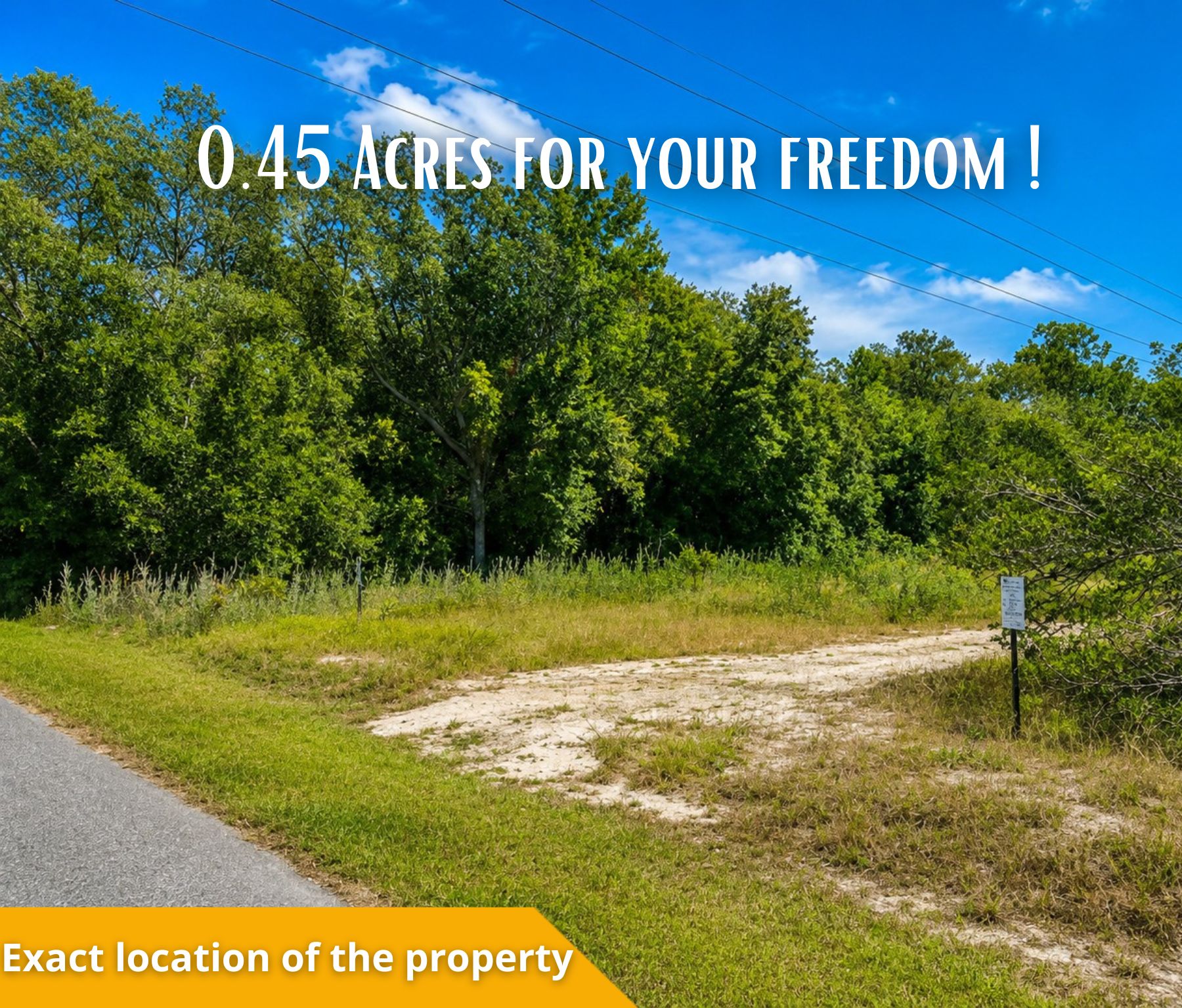 Your Florida Dream Starts Here—Own 0.45 Acres in Ocklawaha for Only $27,000! Call Us Now! – Image 6