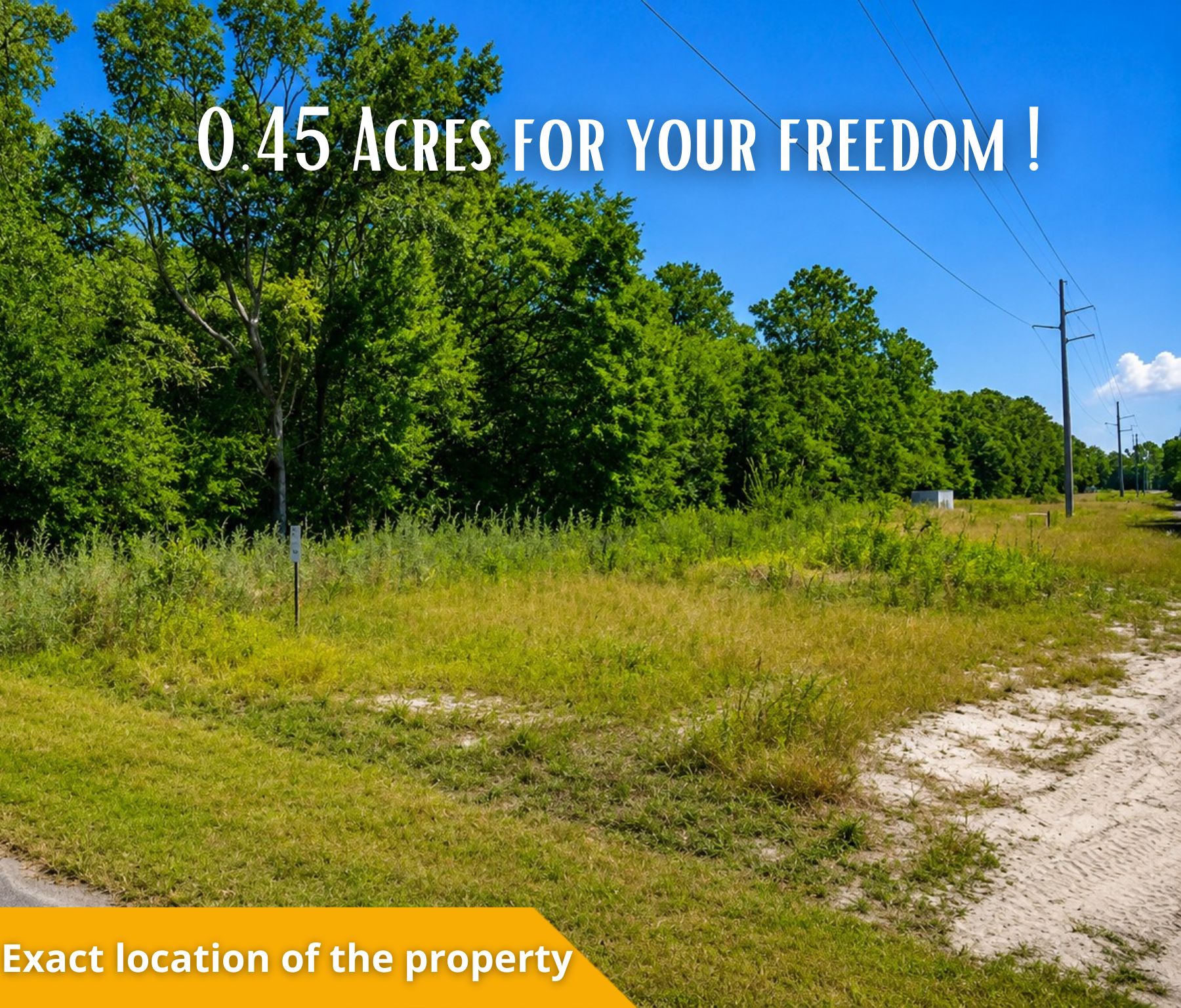 Your Florida Dream Starts Here—Own 0.45 Acres in Ocklawaha for Only $27,000! Call Us Now! – Image 7