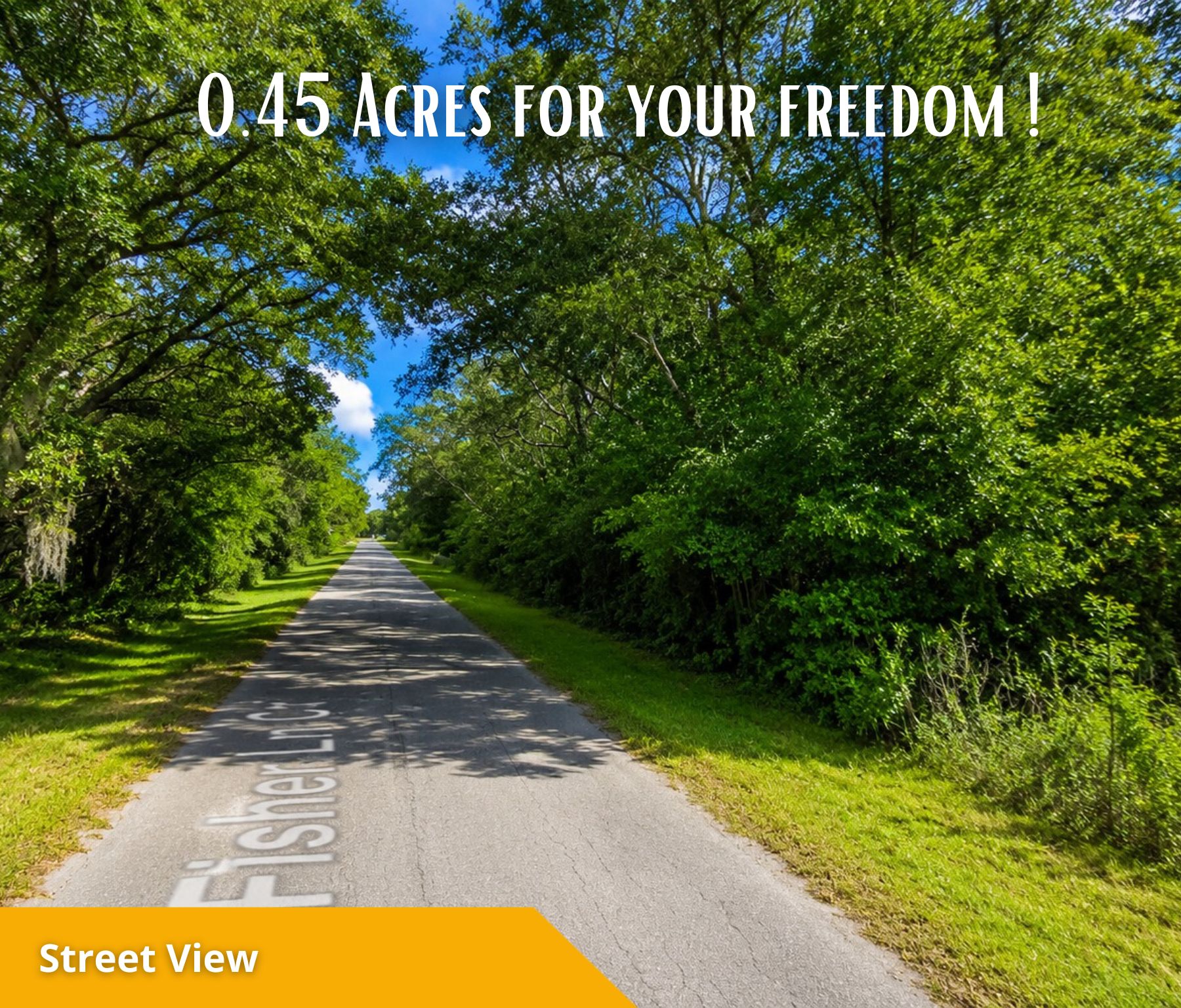 Your Florida Dream Starts Here—Own 0.45 Acres in Ocklawaha for Only $27,000! Call Us Now! – Image 8