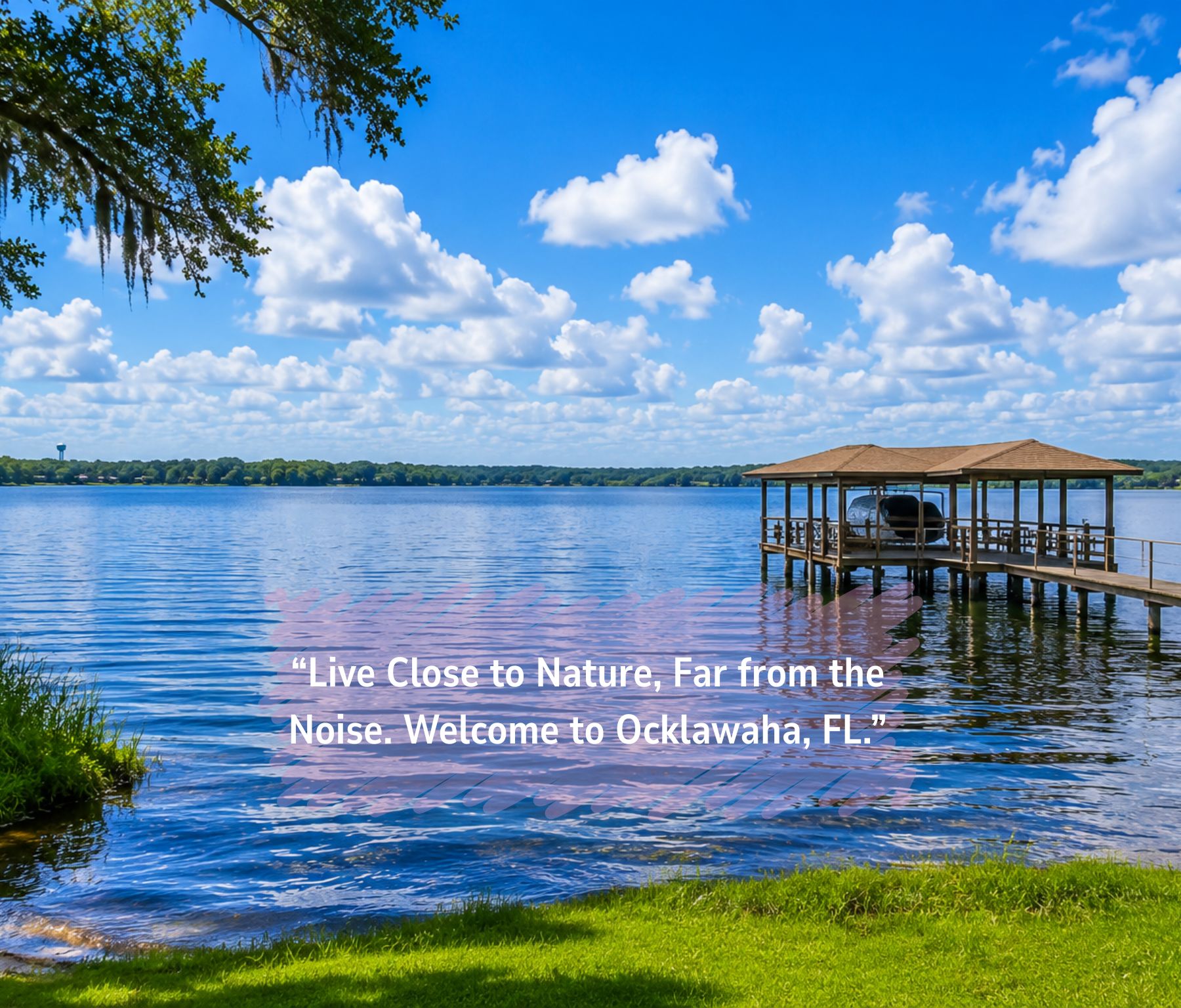 Your Florida Dream Starts Here—Own 0.45 Acres in Ocklawaha for Only $27,000! Call Us Now! – Image 12