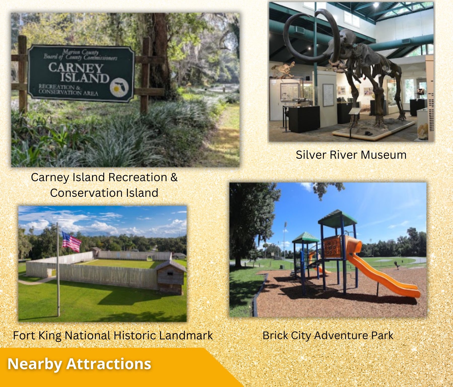 Your Florida Dream Starts Here—Own 0.45 Acres in Ocklawaha for Only $27,000! Call Us Now! – Image 13