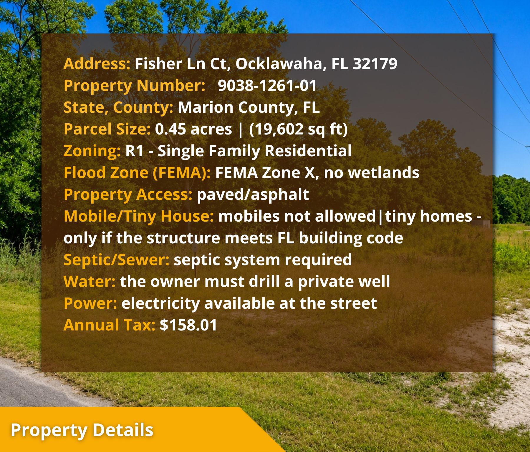 Your Florida Dream Starts Here—Own 0.45 Acres in Ocklawaha for Only $27,000! Call Us Now! – Image 15