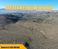Own 48.67 Acres Near Reno – Big Views, Big Space, Big Possibilities! Call Us Now!  – Image 6