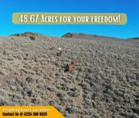 Own 48.67 Acres Near Reno – Big Views, Big Space, Big Possibilities! Call Us Now!  – Image 7