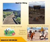 1020 W Ricksue St, Pahrump, NV 89060 - 2.11 Acres - $44,900 (Seller Financing Available) – Image 14