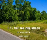 Your Florida Dream Starts Here—Own 0.45 Acres in Ocklawaha for Only $25,900! Call Us Now!    – Image 1