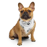 Dogs bandana Road trip threads – Image 2