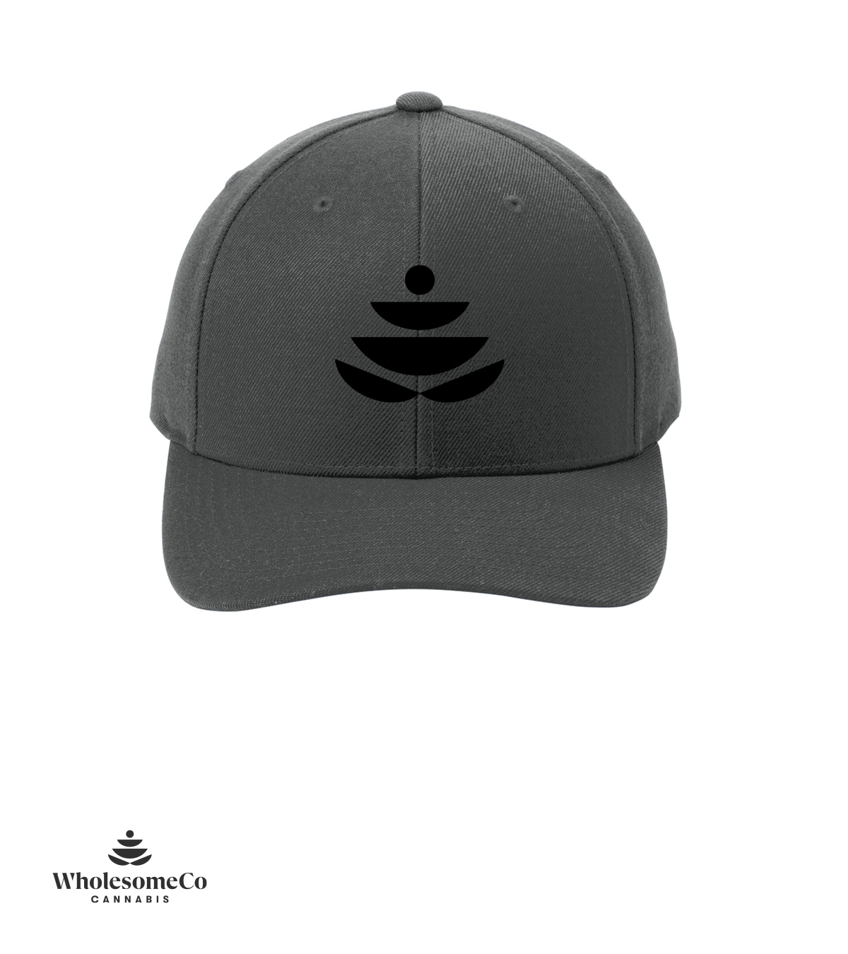 Mid Profile Snapback hat - WHCo Icon – Image 6