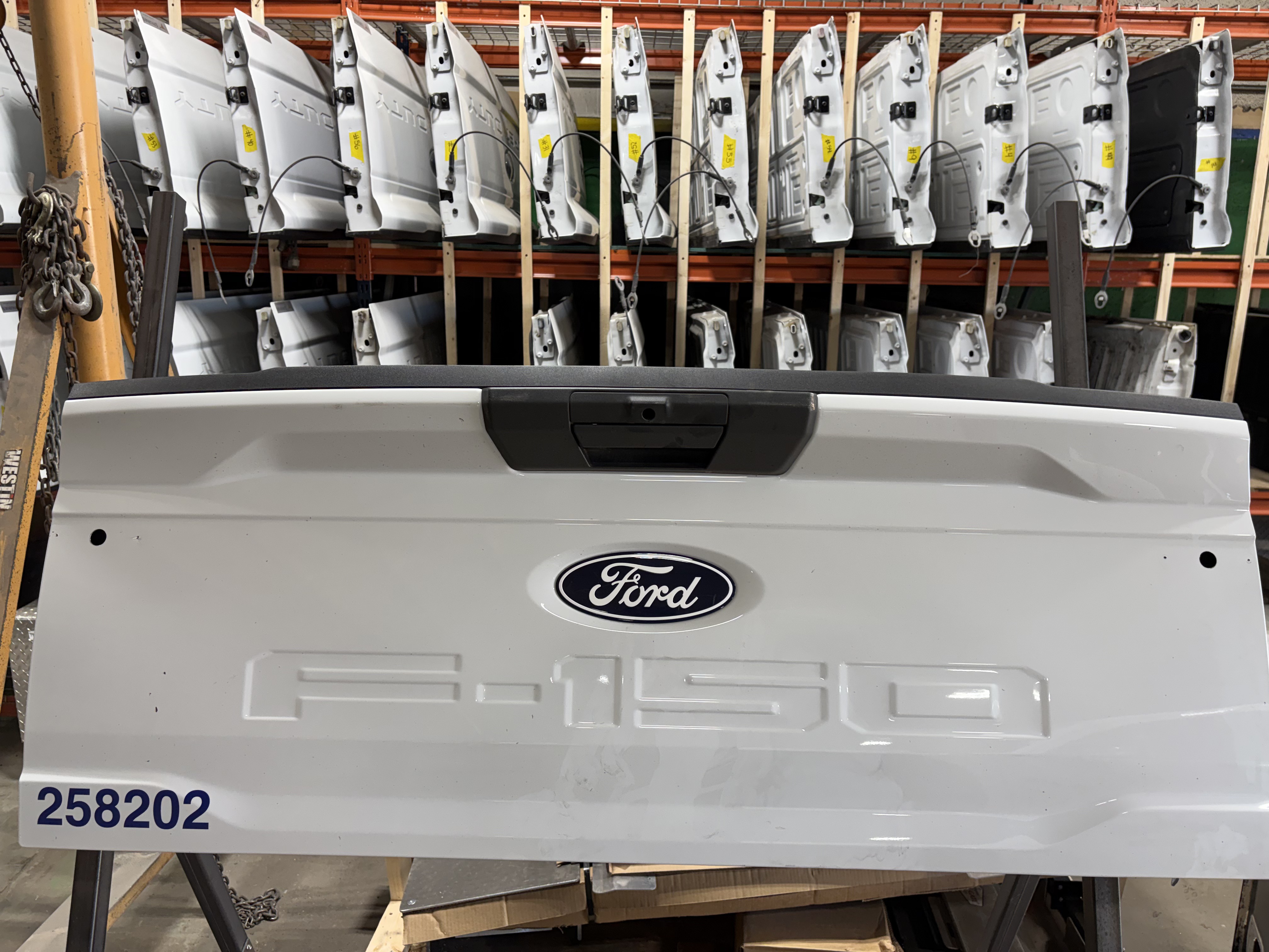 TGATE-118 2020-2023 FORD F-150 TAILGATE – Image 1