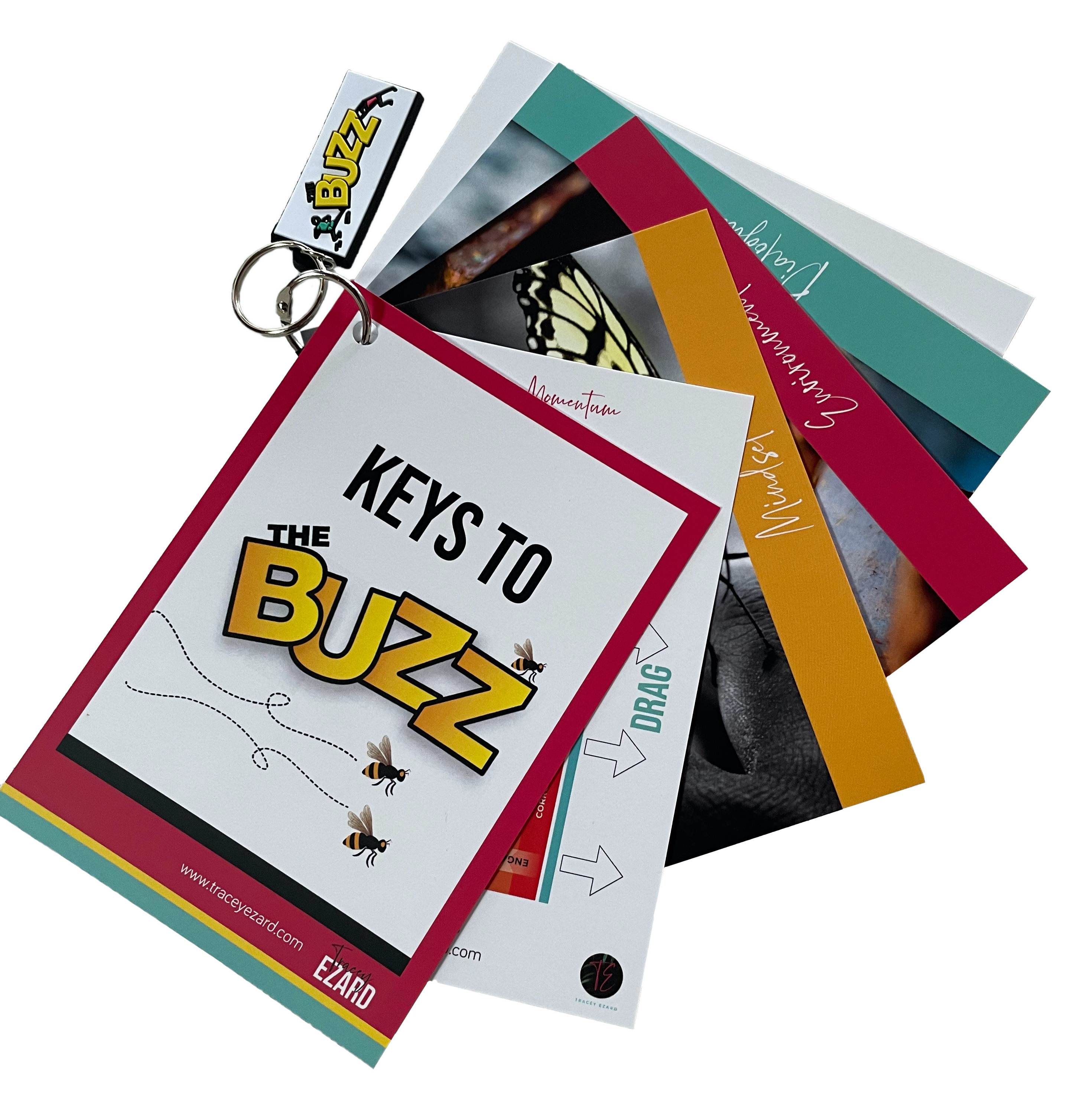 Keys to The Buzz Postcard Sets – Image 1